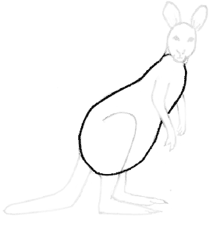 Draw a kangaroo 1