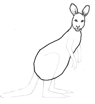 draw a kangaroo 3