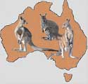 map of Australia with kangaroos